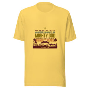 Christmas Tee Jesus is the Reason